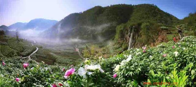 铜陵天气预报10天查询